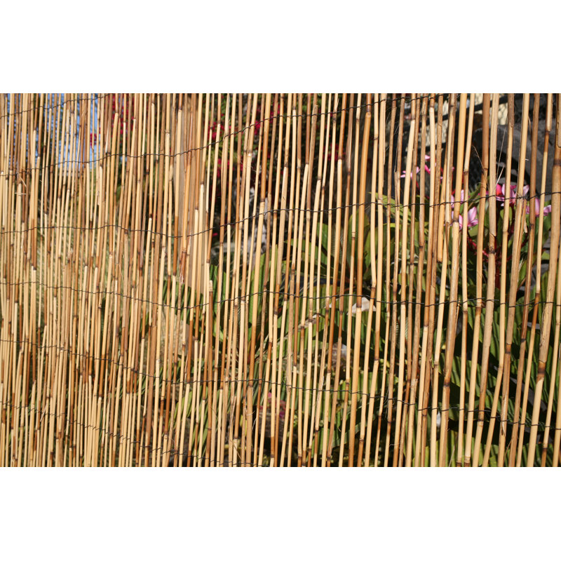 Backyard XScapes 6 ft. H x 16 ft. W Peeled Reed Fence Panel & Reviews